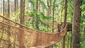 A rope bridge in a forest with a platform on the right. - Cedar Lodge 605 (Pigeon Forge)