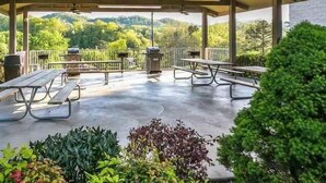 Une terrasse extérieure couverte, dotée de tables de pique-nique et de barbecues, entourée de verdure et offrant une vue sur les collines.