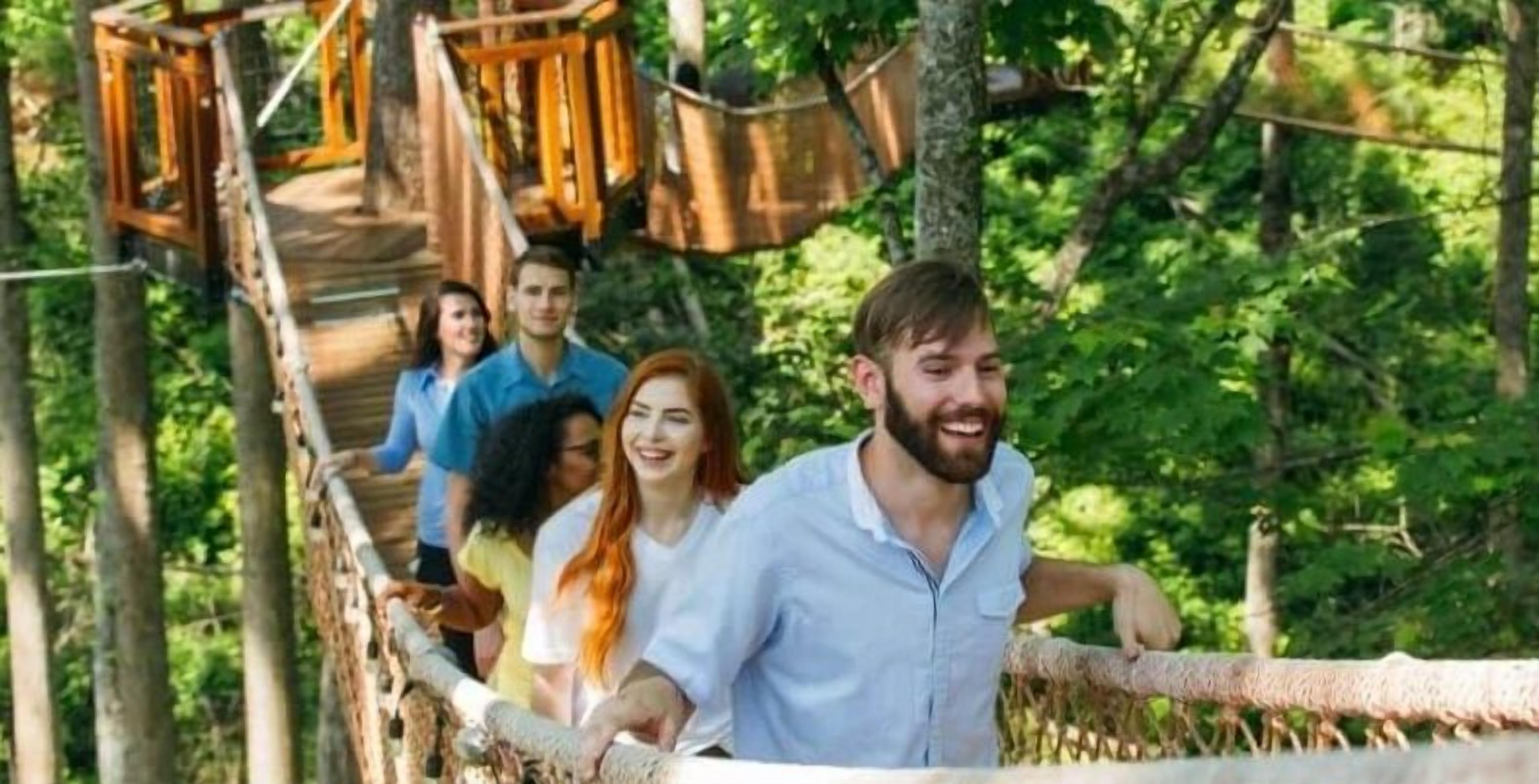 A wooden bridge with a rope railing, surrounded by greenery.