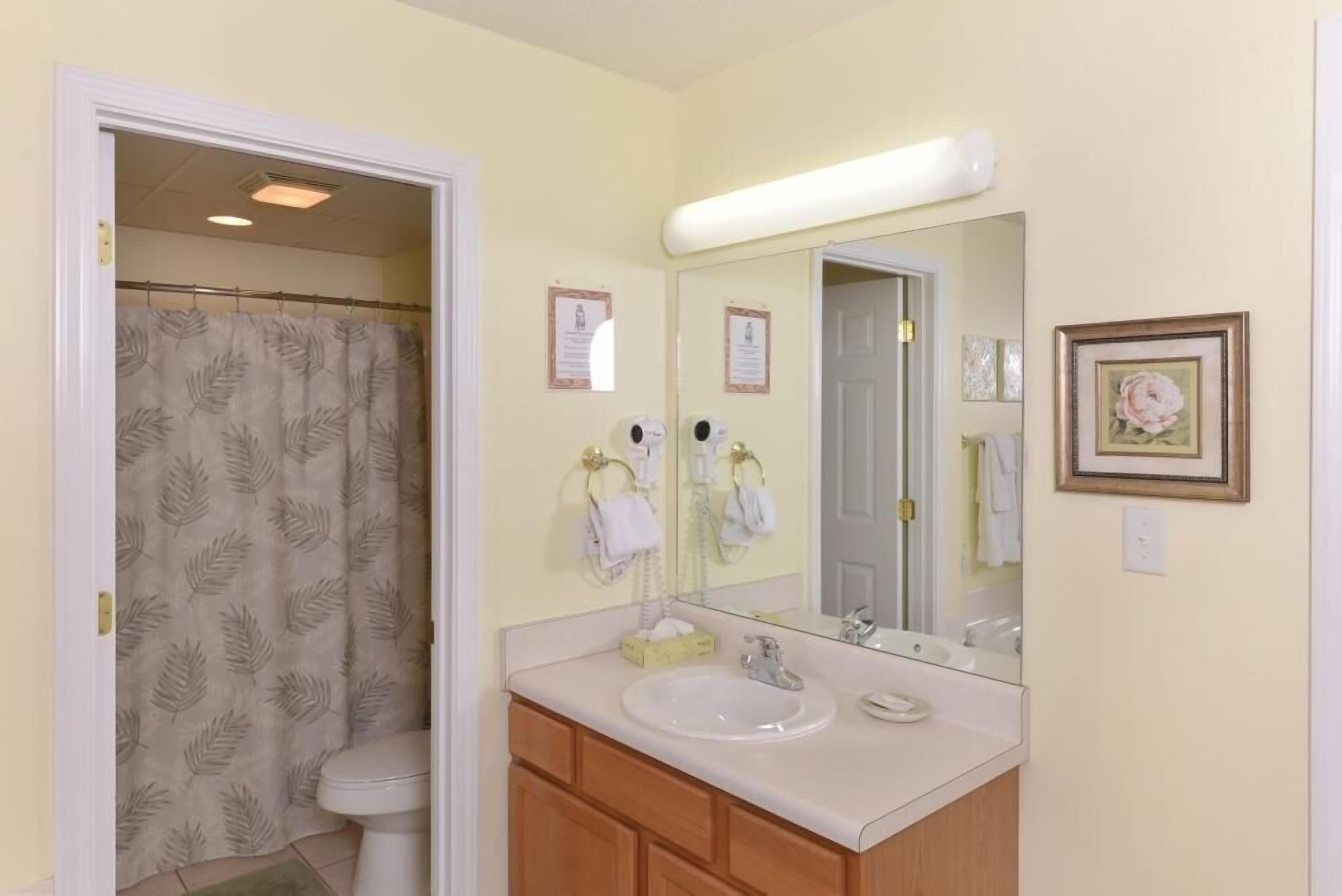 A bathroom with a shower curtain, a sink, a mirror, and framed pictures on the wall.