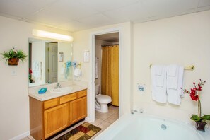 Un bagno con lavandino, specchio e servizi igienici.