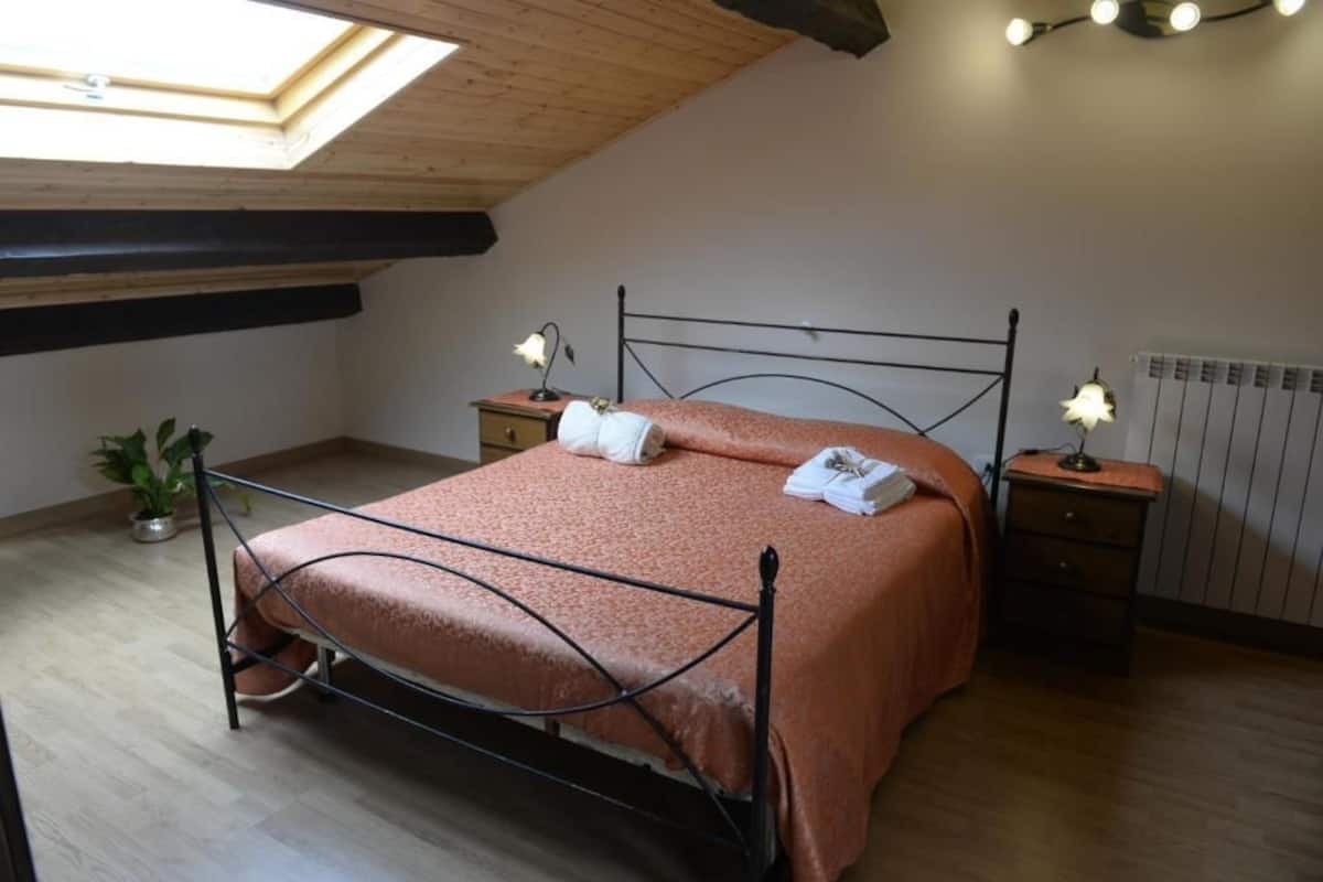 A bedroom with a bed, bedside tables, a potted plant, and a skylight.