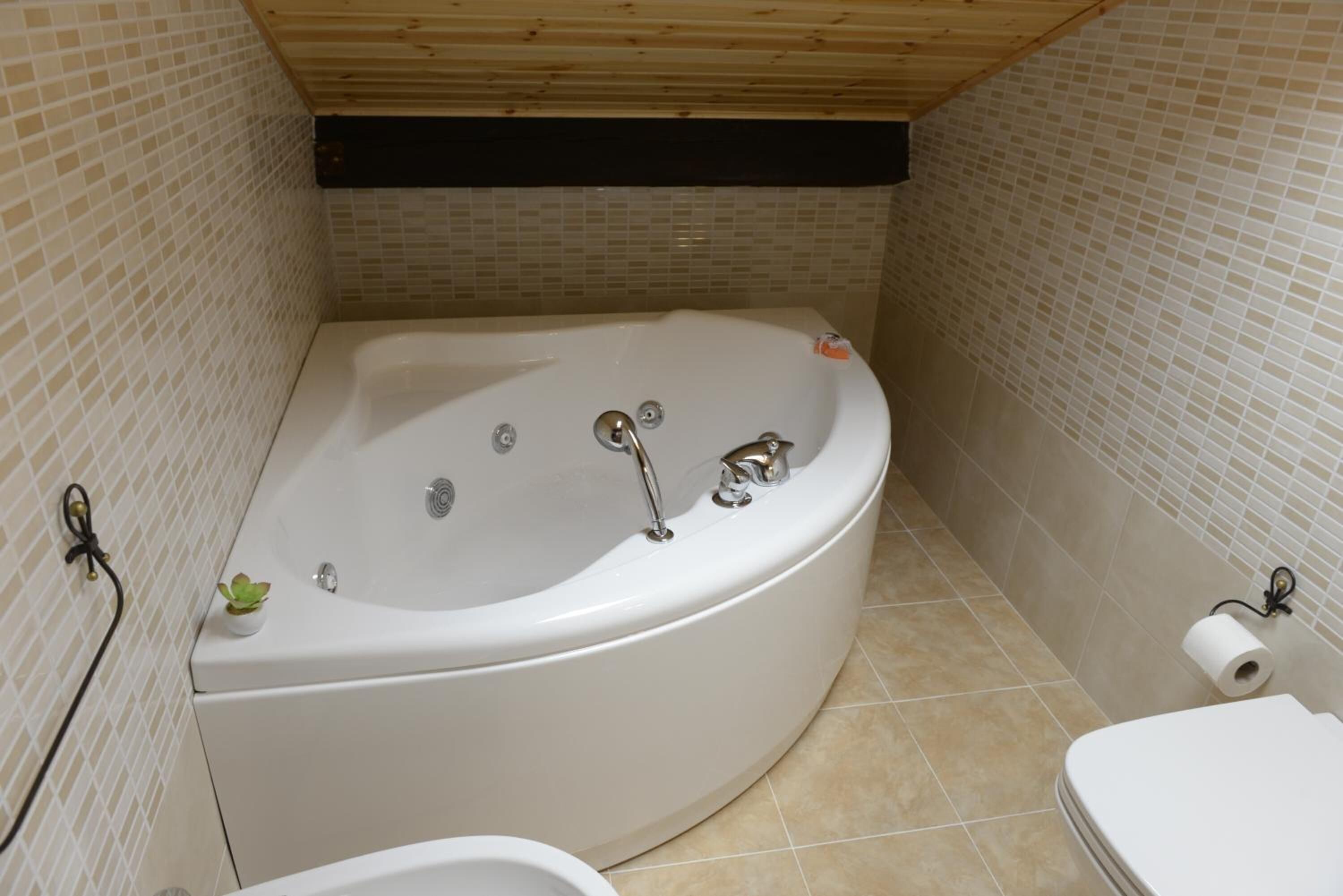 A bathroom with a freestanding bathtub, a toilet, and a small plant on the bathtub.