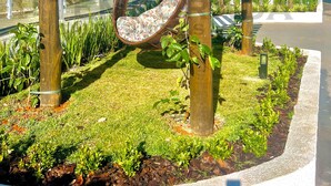Un fauteuil suspendu sous une pergola en bambou, dans un jardin aménagé, avec vue sur un bâtiment et un ciel dégagé.