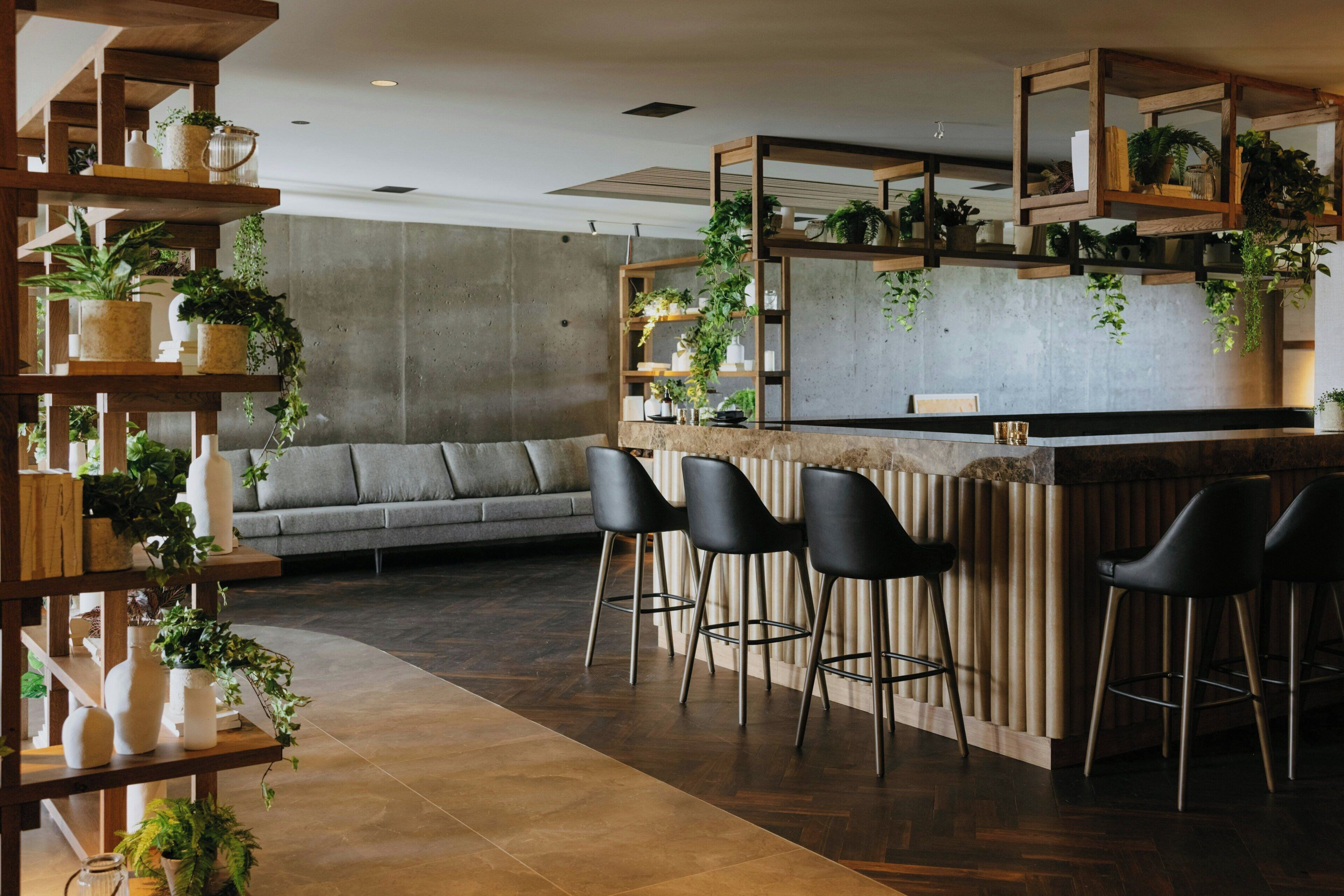 Un área de bar moderna con estantes de madera, taburetes negros y plantas en macetas.
