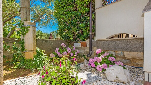 Un jardín con plantas en macetas, un muro de piedra y un sendero.