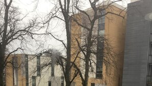 Ein Parkplatz mit mehreren Autos, ein Gebäude mit großen Fenstern und ein Baum im Vordergrund.
