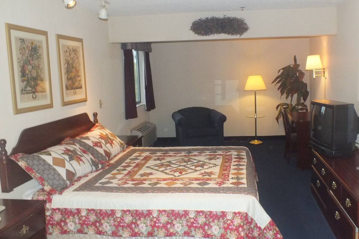 A hotel room with a bed, a desk with a television, a chair, a lamp, and a plant.