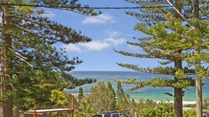 A coastal view with a clear sky, a beach, and dense green trees.