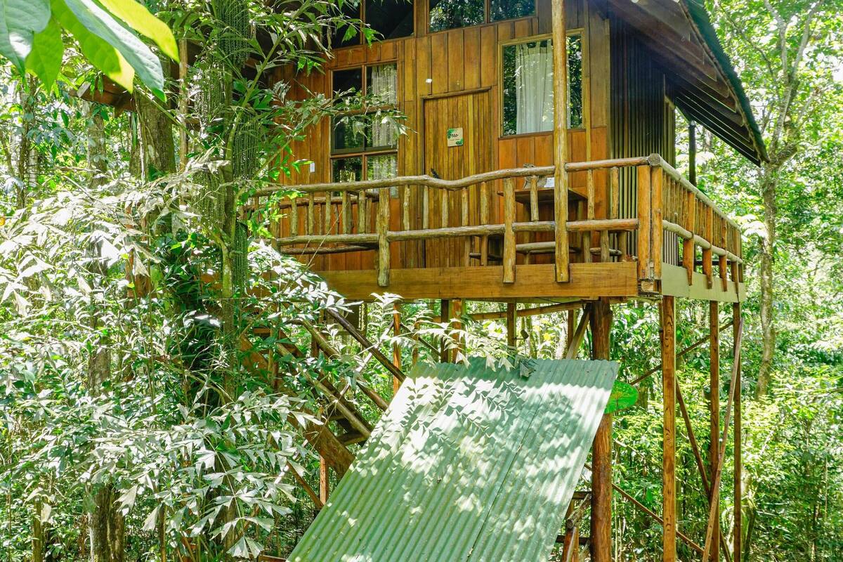 A wooden treehouse with a balcony, surrounded by dense foliage.