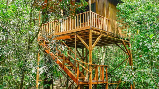 The Toucan Tree House
