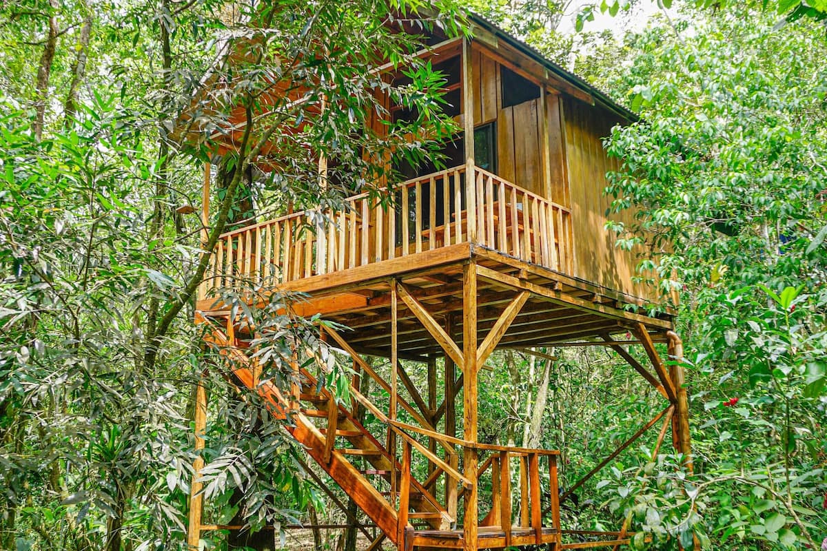 A wooden treehouse with a wooden staircase and a balcony, surrounded by dense foliage.