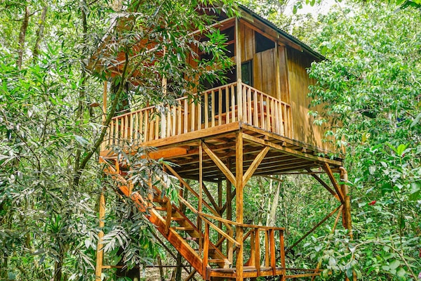 The Toucan Tree House | Ropa de cama de alta calidad y caja de seguridad en la habitación