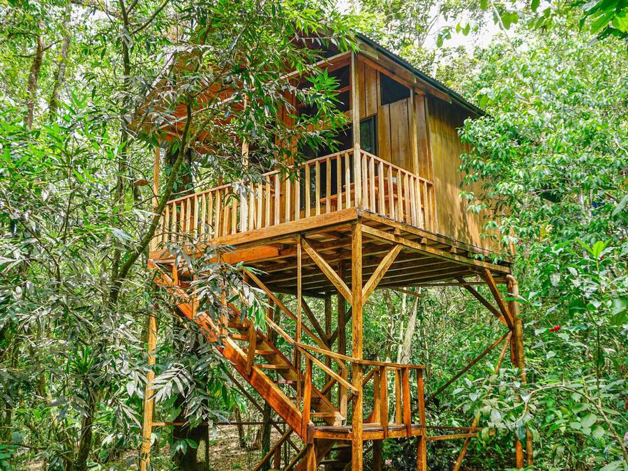 The Toucan Tree House | Premium bedding, in-room safe, individually decorated