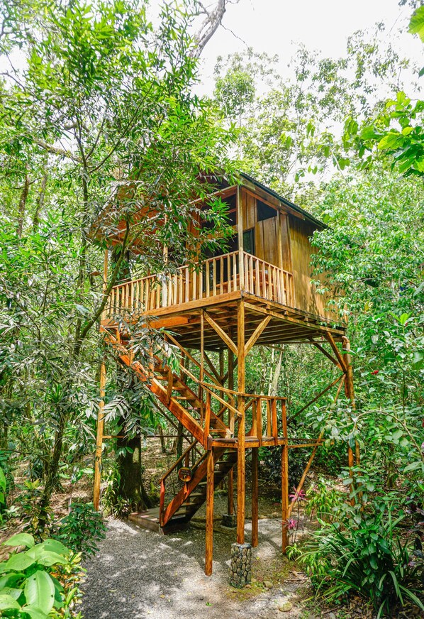 The Toucan Tree House | Ylelliset vuodevaatteet, tallelokero huoneessa