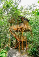 A wooden treehouse with a wooden staircase and a balcony, surrounded by dense foliage.
