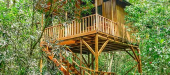 哥斯达黎加树屋酒店