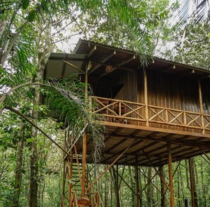 Une structure en bois surélevée, dotée d’un balcon, et entourée d’un feuillage dense.