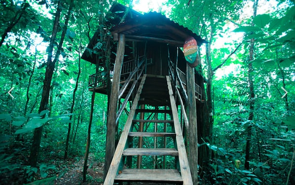 The Frog Tree House | Premium bedding, in-room safe, individually decorated