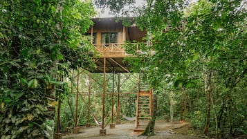 The Agouti Tree House | Bộ đồ giường cao cấp, két bảo mật tại phòng, trang trí khác biệt