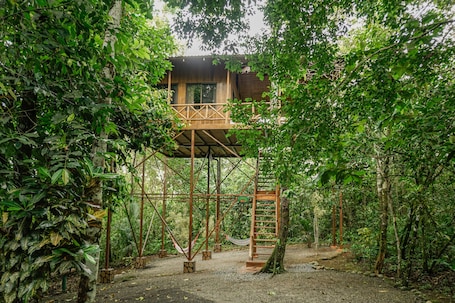 The Agouti Tree House | Premium bedding, in-room safe, individually decorated