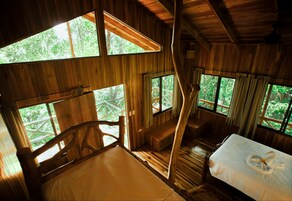 A wooden cabin with a bed, a chair, and a table. There are large windows providing views of the surrounding forest.