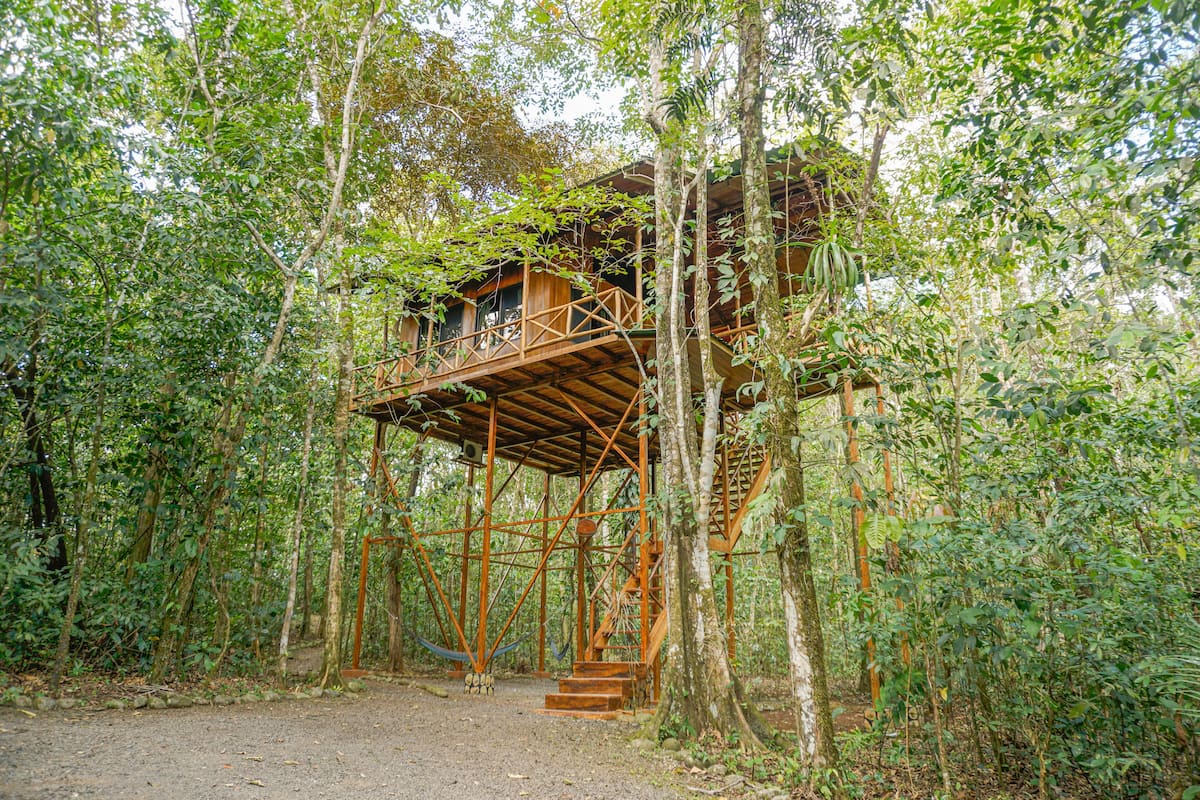A wooden treehouse with a wooden deck and stairs, surrounded by dense forest.