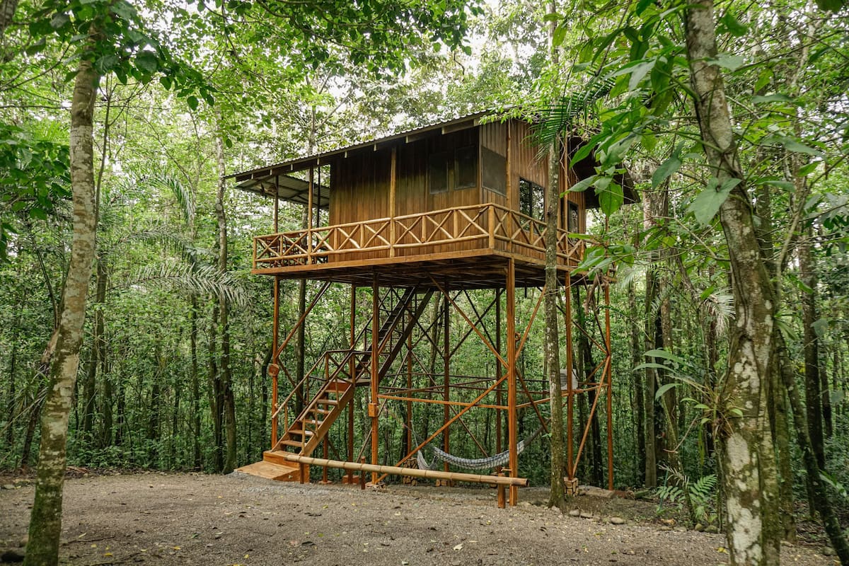 A wooden treehouse with a balcony and stairs, surrounded by dense forest.