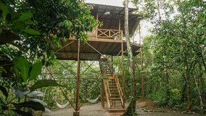 The Agouti Tree House | 外觀