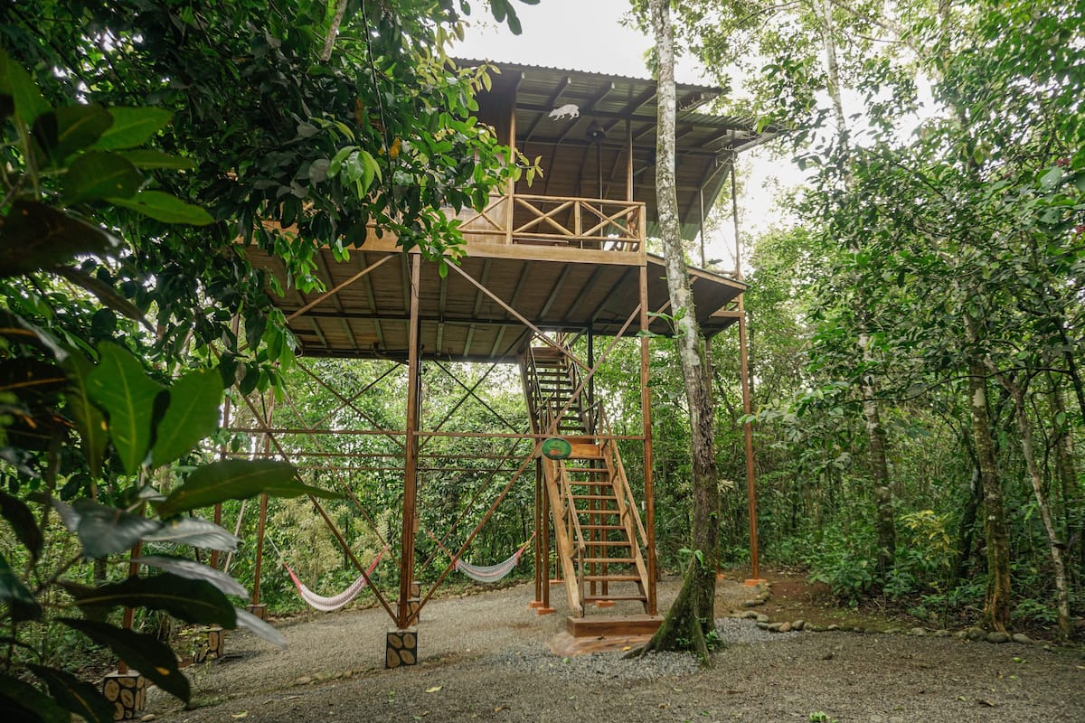 A wooden treehouse with a ladder and a hammock, surrounded by dense forest.