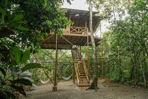 The Agouti Tree House | Ulkopuoli