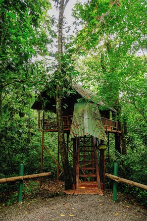 Una casa en el árbol de madera con una escalera que lleva a ella, rodeada de frondosos follajes verdes.