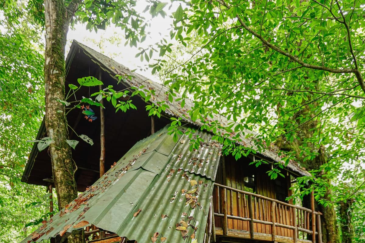A wooden treehouse with a metal roof, surrounded by dense forest.