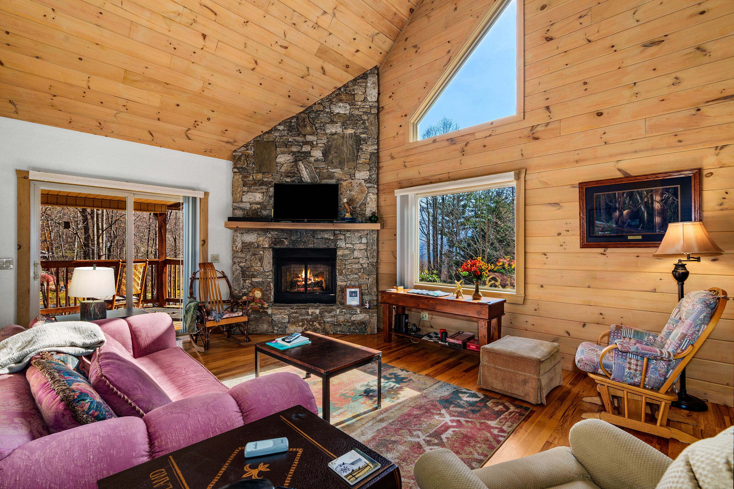 TV, fireplace, DVD player