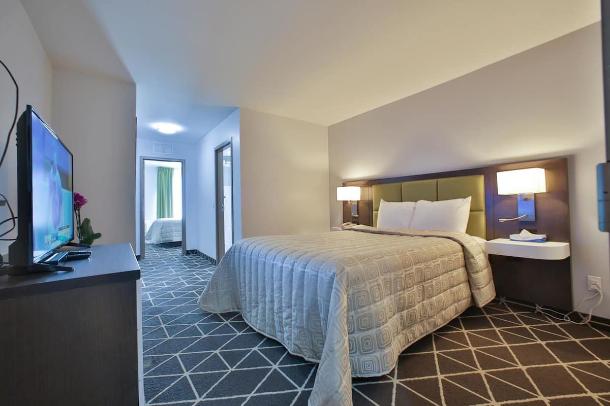A hotel room with a bed, bedside lamps, a TV, and a desk with a plant.