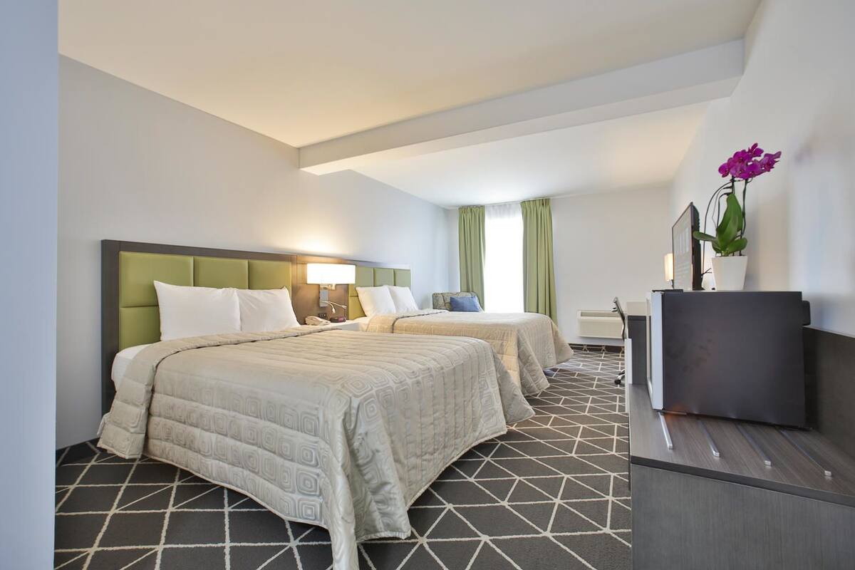 A hotel room with two beds, a desk, a TV, and a plant.