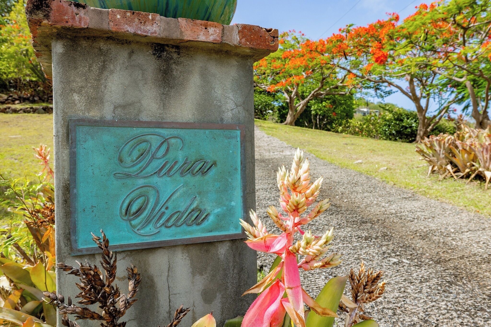 A sign with the inscription "Pura Vida" on a concrete structure, surrounded by tropical plants and a pathway.