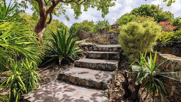 A stone staircase surrounded by lush greenery and a stone wall.
