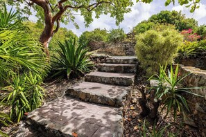 A stone staircase surrounded by lush greenery and a stone wall. - Private Pool overlooking ocean, large deck on Estate Property.  Great Privacy. (St. John)