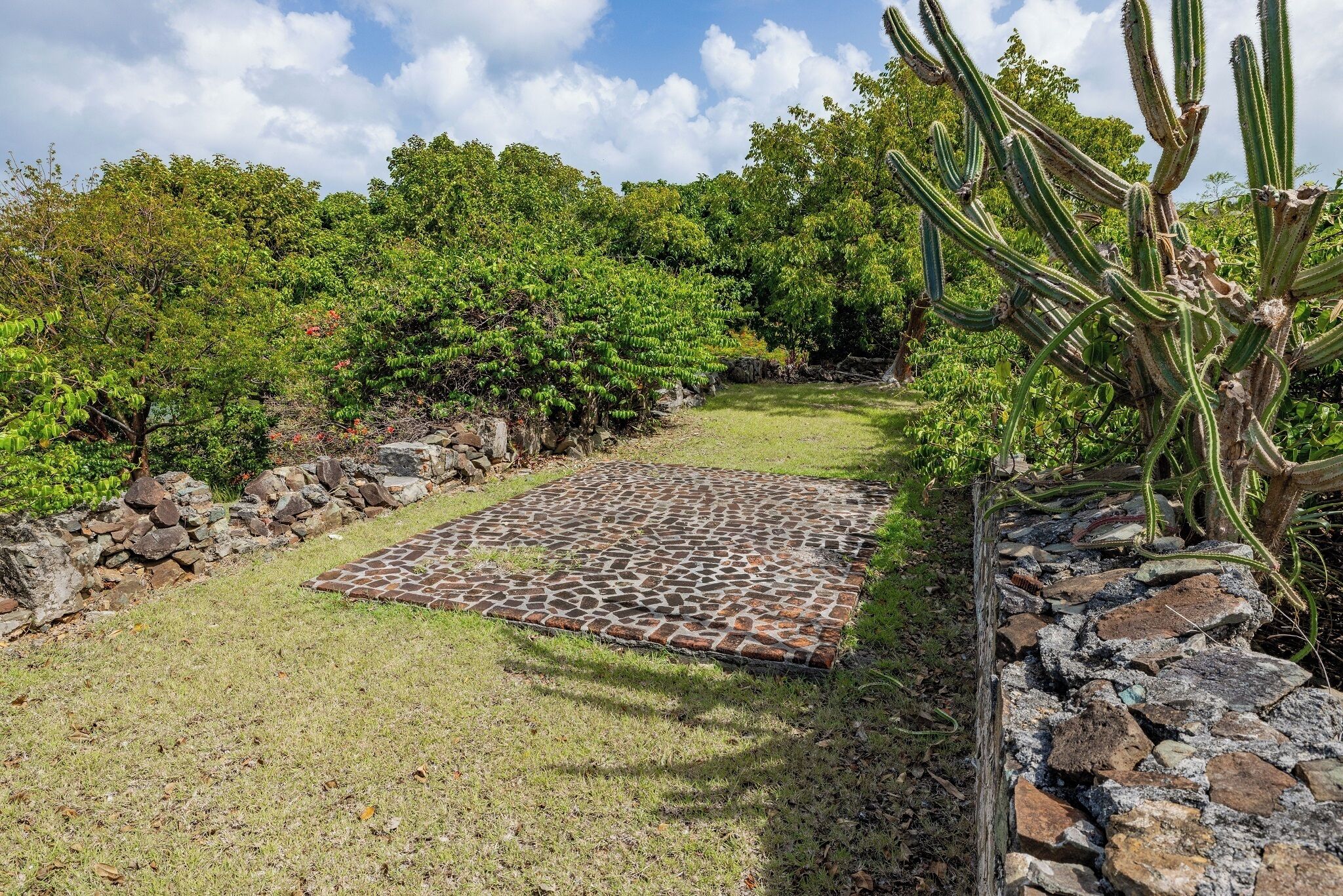 Un giardino con un’area pavimentata, circondato da rocce e cactus.