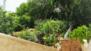 Garden - Casa Daniels (Valladolid)