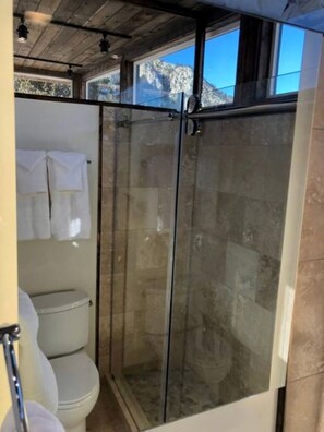 Towels, soap, shampoo, toilet paper