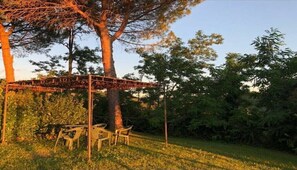 Property grounds - 2-BR 1 bath abode in the Chianti hills! (Mura, Montaione)