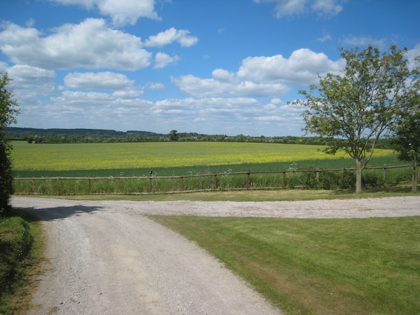 Vista frontal de la propiedad