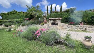 Parco della struttura