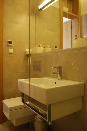 Dusche, Haartrockner, Handtücher, Toilettenpapier