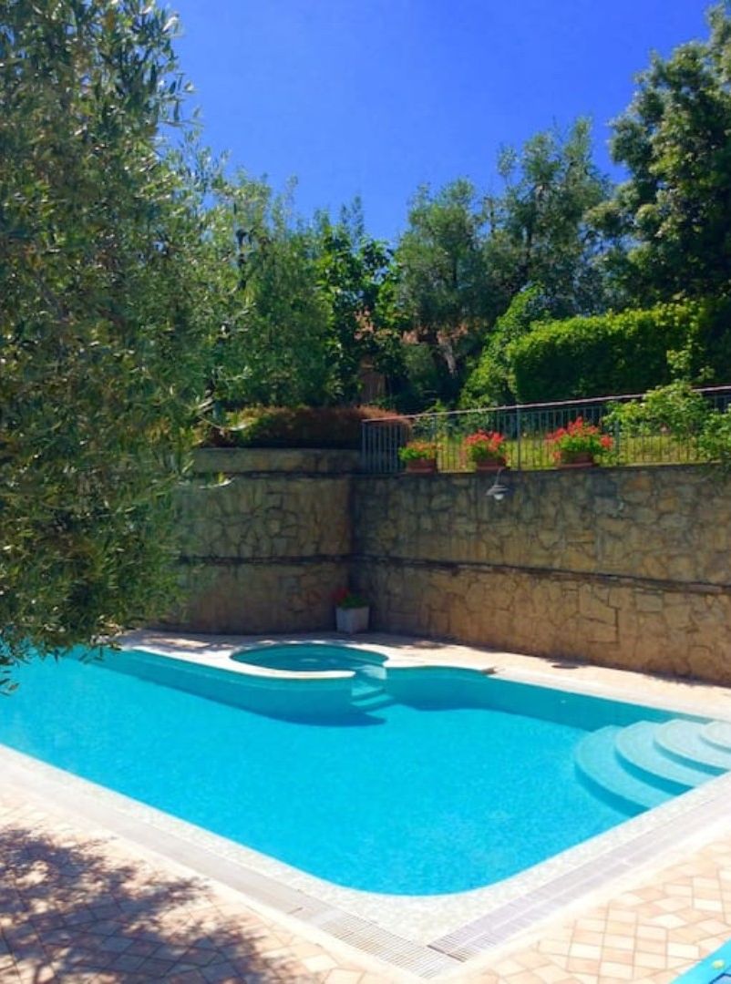 A swimming pool with a stone wall and a metal fence, surrounded by greenery and trees.