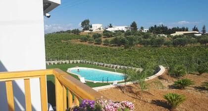 Villa Verde tranquila y tranquila villa de nueva construcción 2018