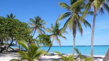 Una playa cerca