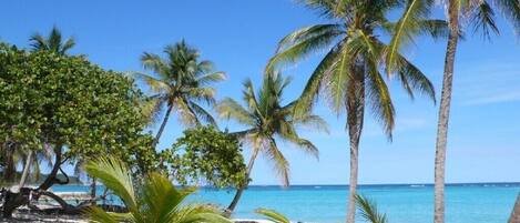 Playa en los alrededores